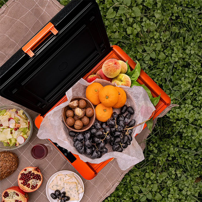 Холодильник автомобильный Alpicool CL30 (12/24)