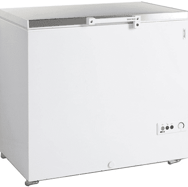 Ларь морозильный Tefcold FR305S