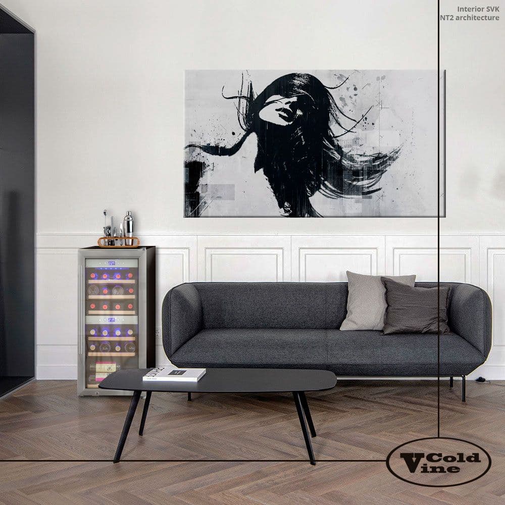 Шкаф винный Cold Vine C24-KSF2