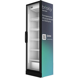 Шкаф холодильный Briskly 4 (RAL 7024)