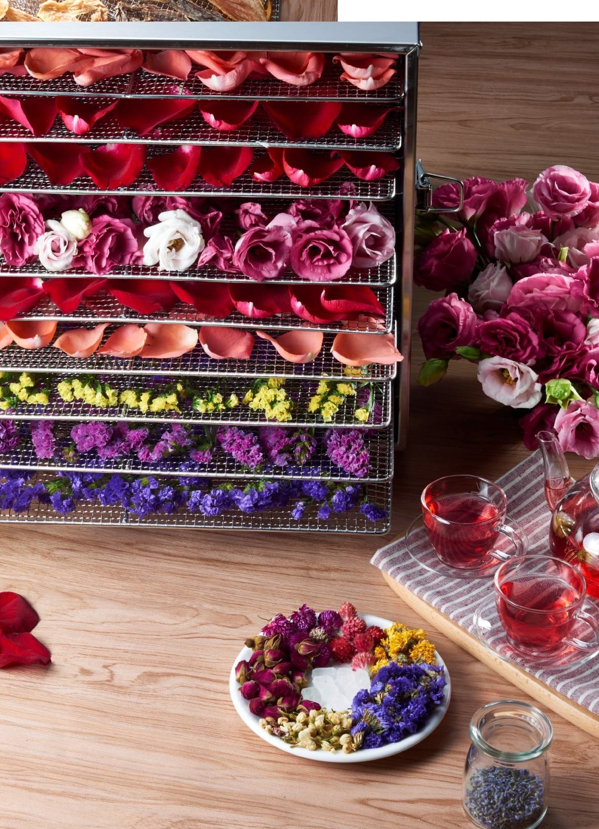 Сушилка для овощей Kocateq DHFD10