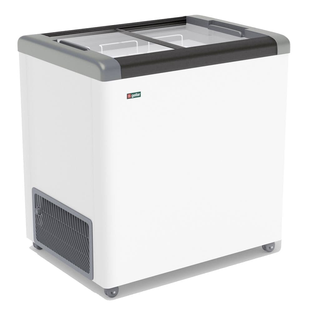 Ларь морозильный Frostor GELLAR FG 250 С серый