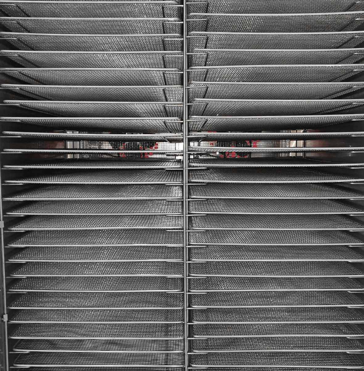 Дегидратор сушилка Abat ШС-32-2В-01 (71000000382)