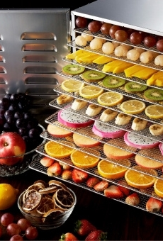 Сушилка для овощей Kocateq DHFD16