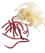 Диск-терка Vortmax Z4 4мм