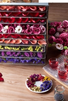 Сушилка для овощей Kocateq DHFD16