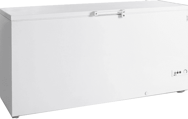 Ларь морозильный Tefcold FR605