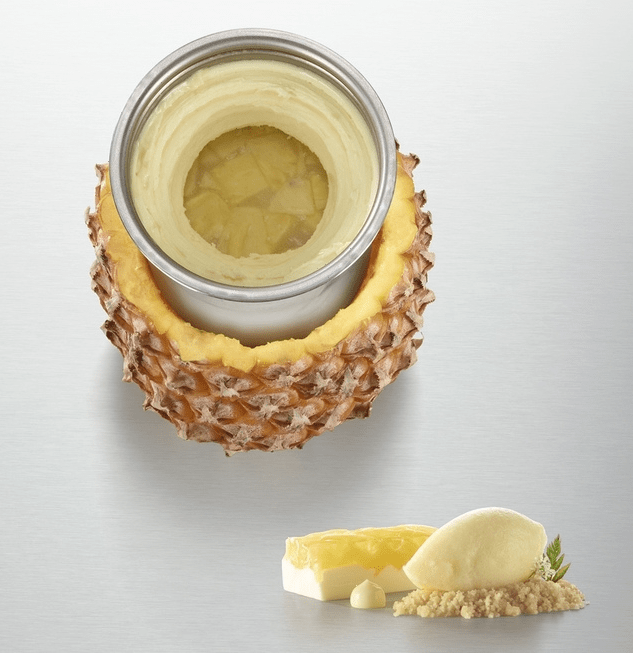 Гомогенизатор Pacojet 2