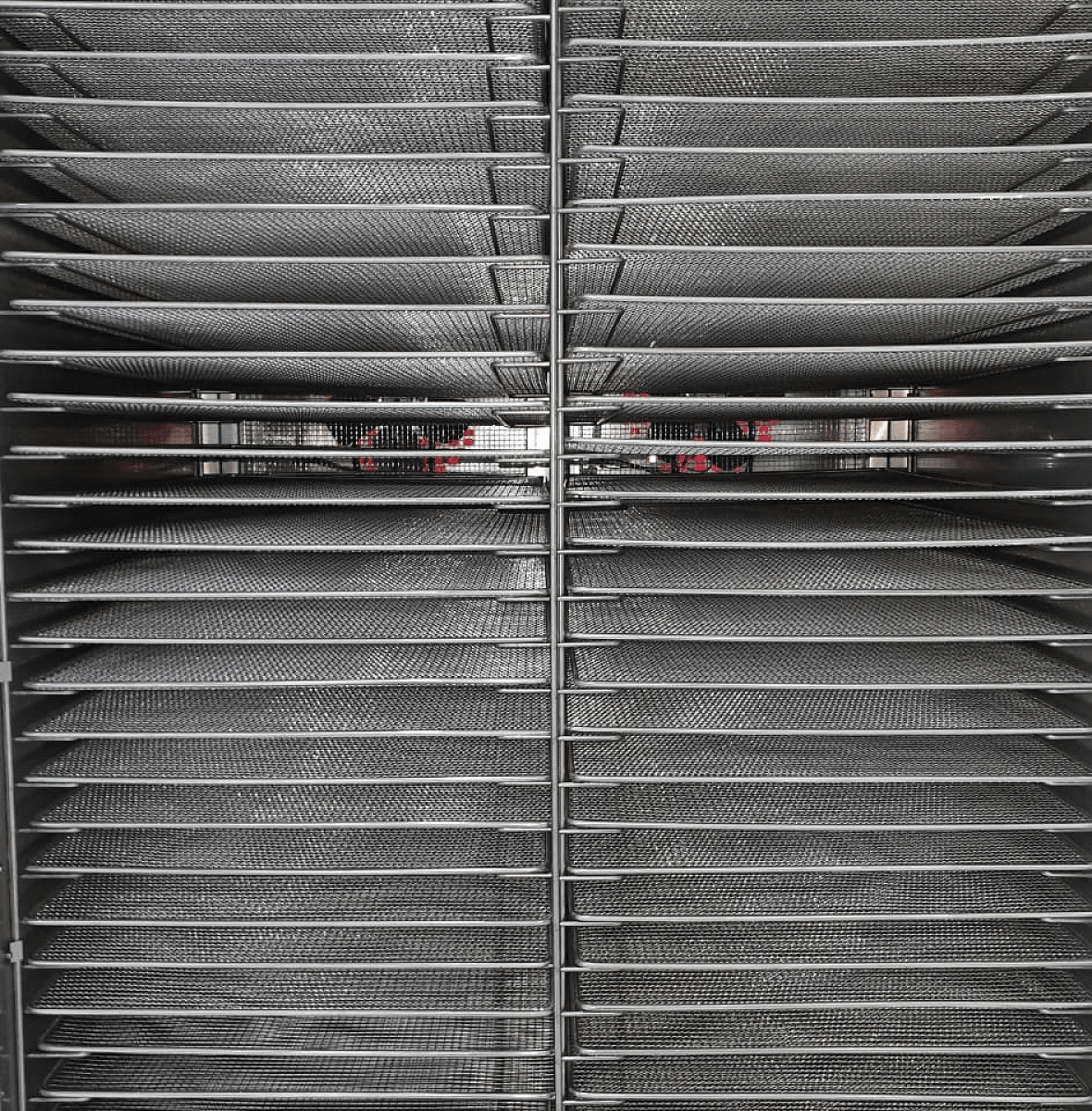 Дегидратор сушилка Abat ШС-32-1-01 (71000000383)