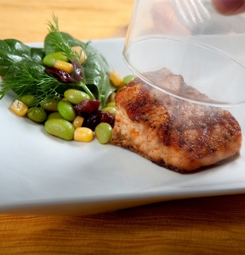 Ручной аппарат для копчения PolyScience THE SMOKING GUN PRO